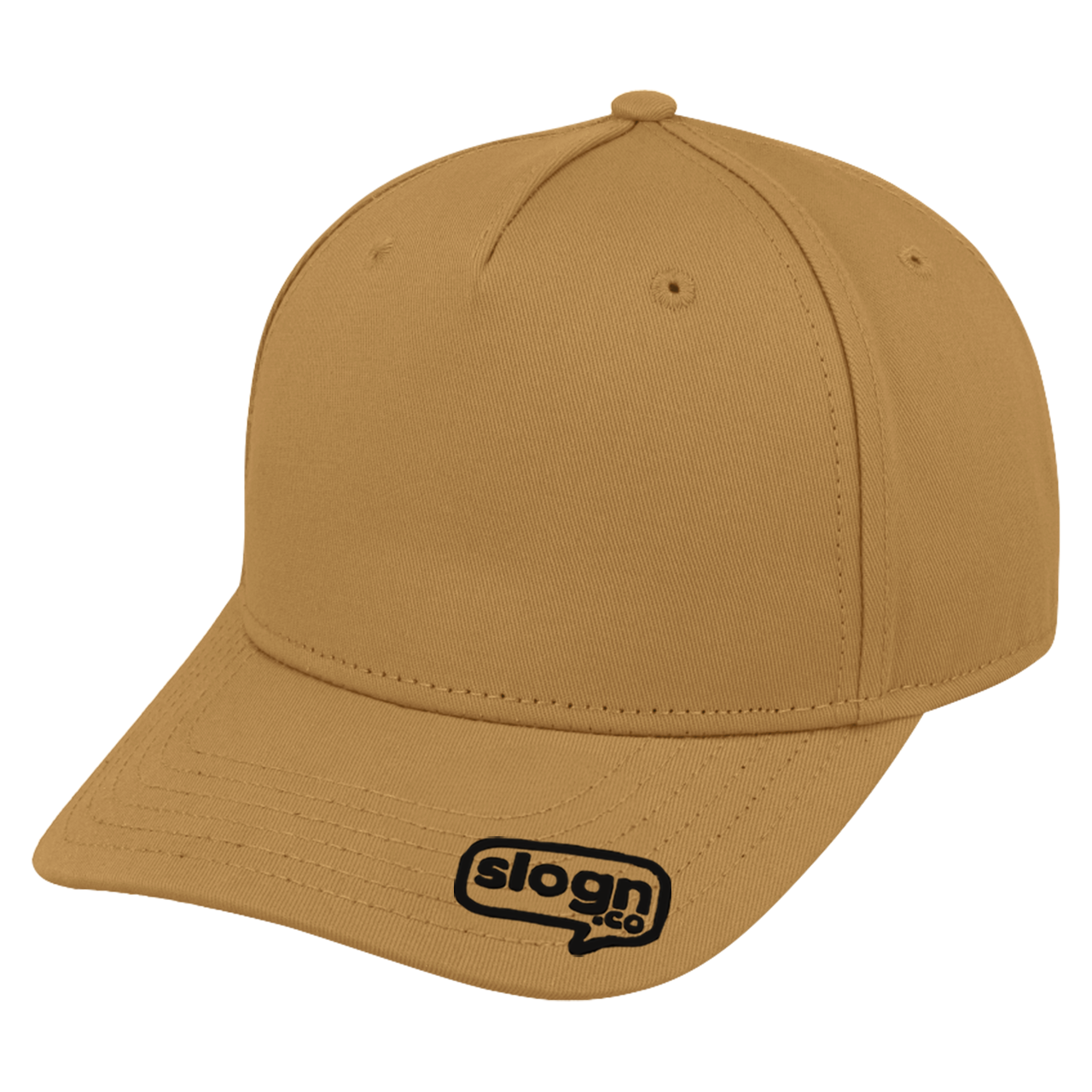 U15518CAMELS main