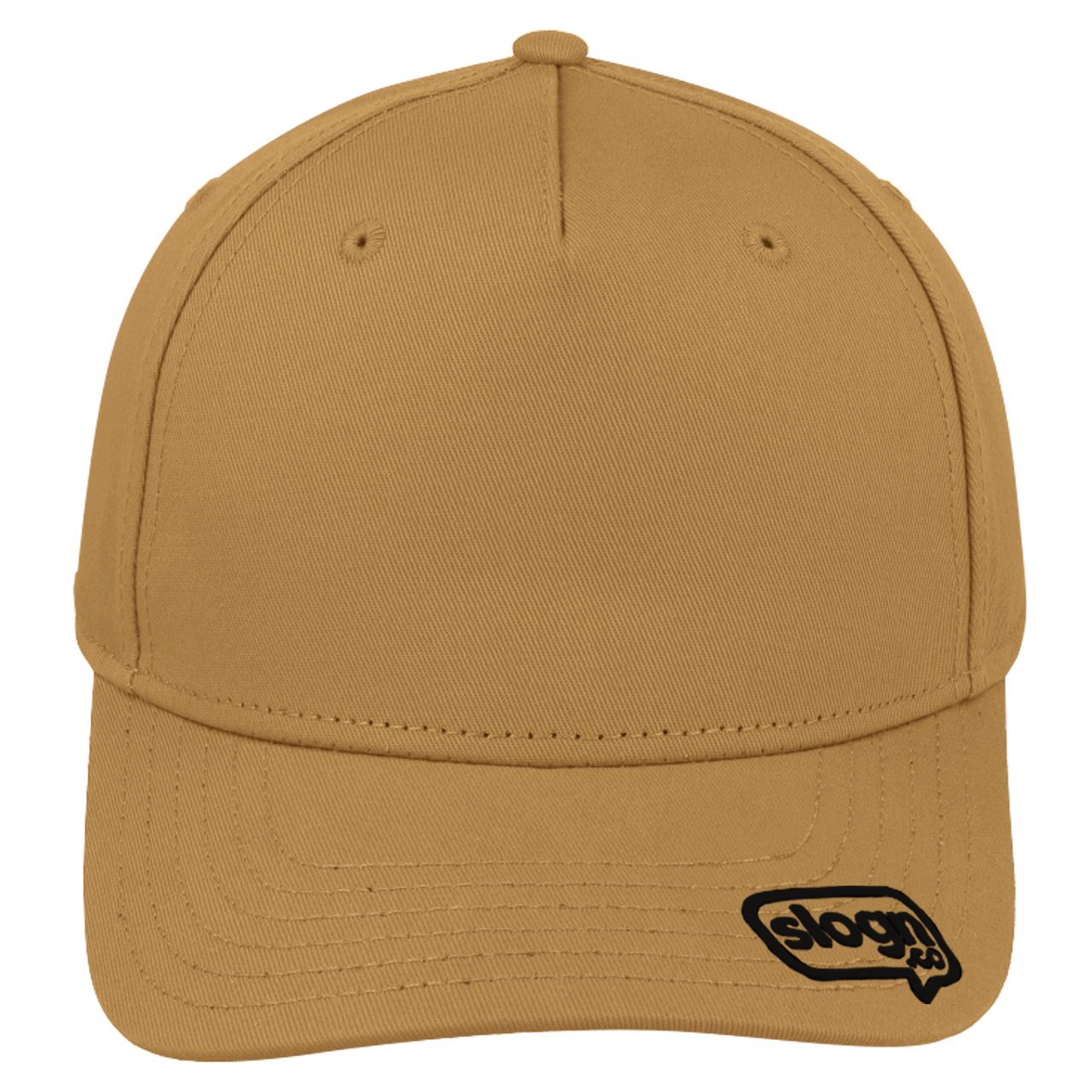 U15518CAMELS front