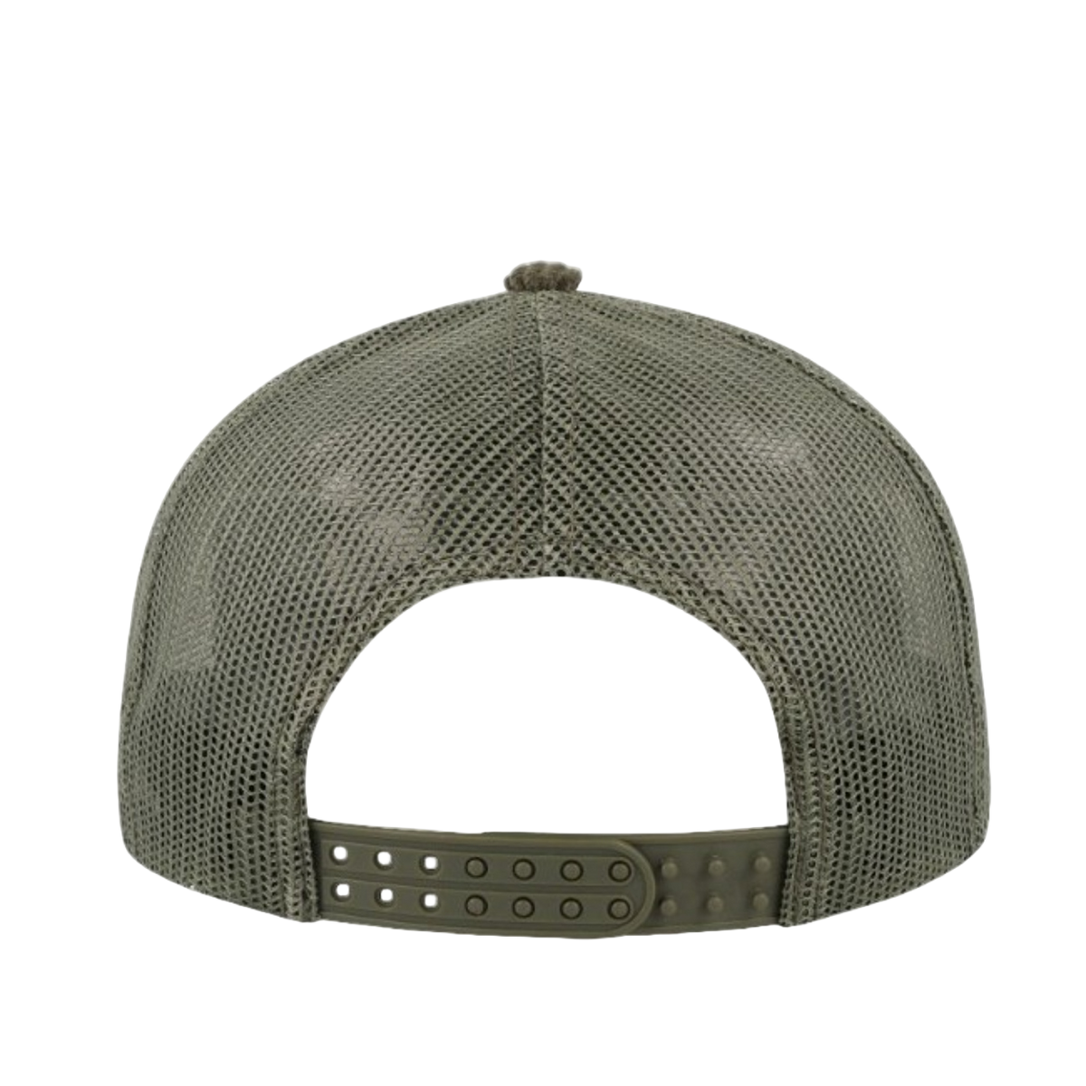 Olive back