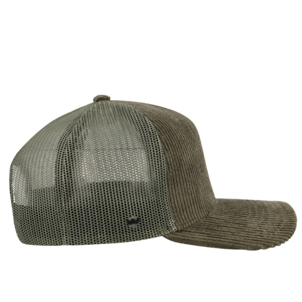 Olive right
