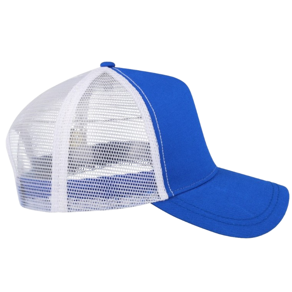 Royal/White right