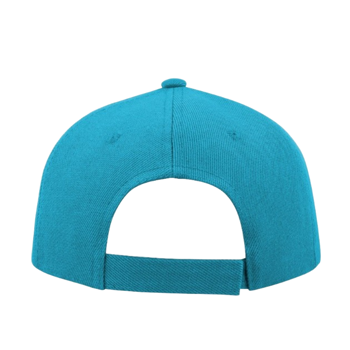 Turquoise back