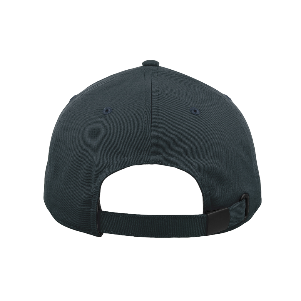 Navy back